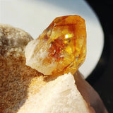Golden Amber Energy Bracelet