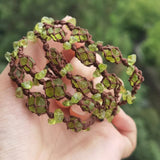 Raw Peridot Knotted Bracelet