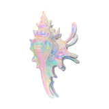 Iridescent Seashell Hair Claw Clip