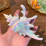 Iridescent Seashell Hair Claw Clip
